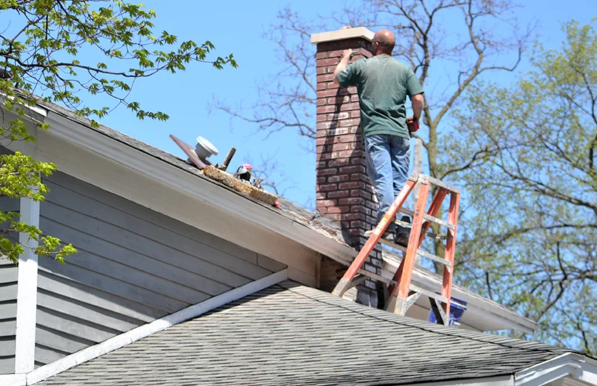 Chimney & Fireplace Inspections Services in Alvin, TX